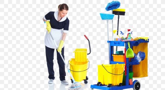 maid-service-cleaner-miranda-s-cleaning-housekeeping-png-favpng-RKX5LqKkYEkeTtqhhPhSTspyf